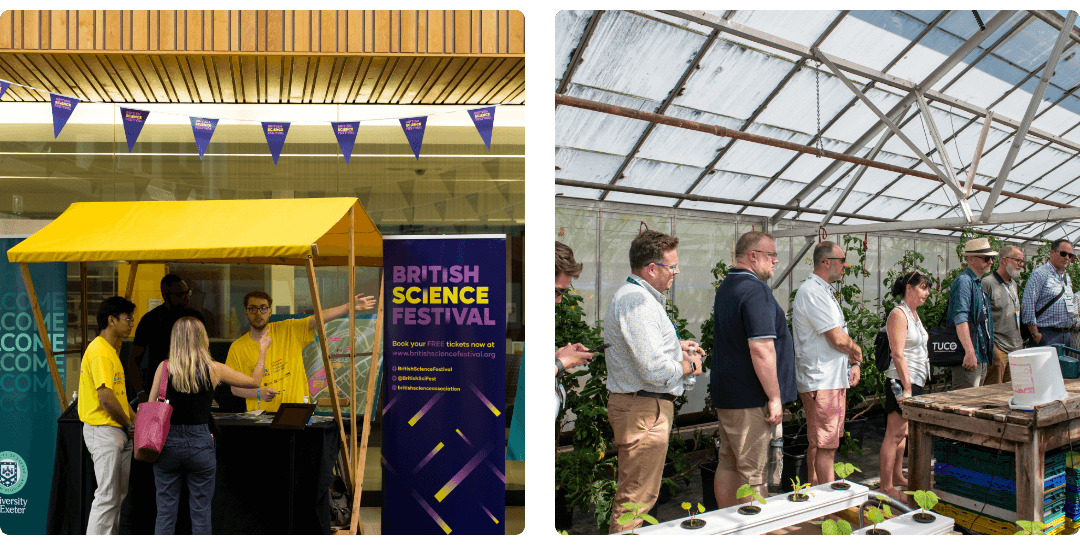 Event Management Collage
