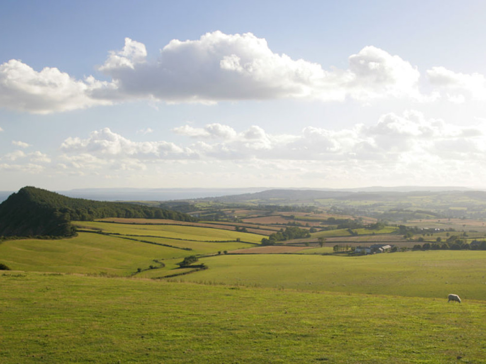 7 Interesting Places to Visit Near Exeter
