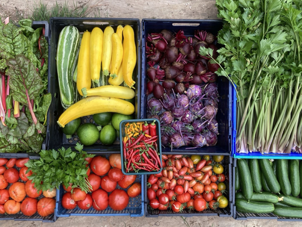 From Farm to Fork: Supporting Sustainable Events with Our Kitchen Garden